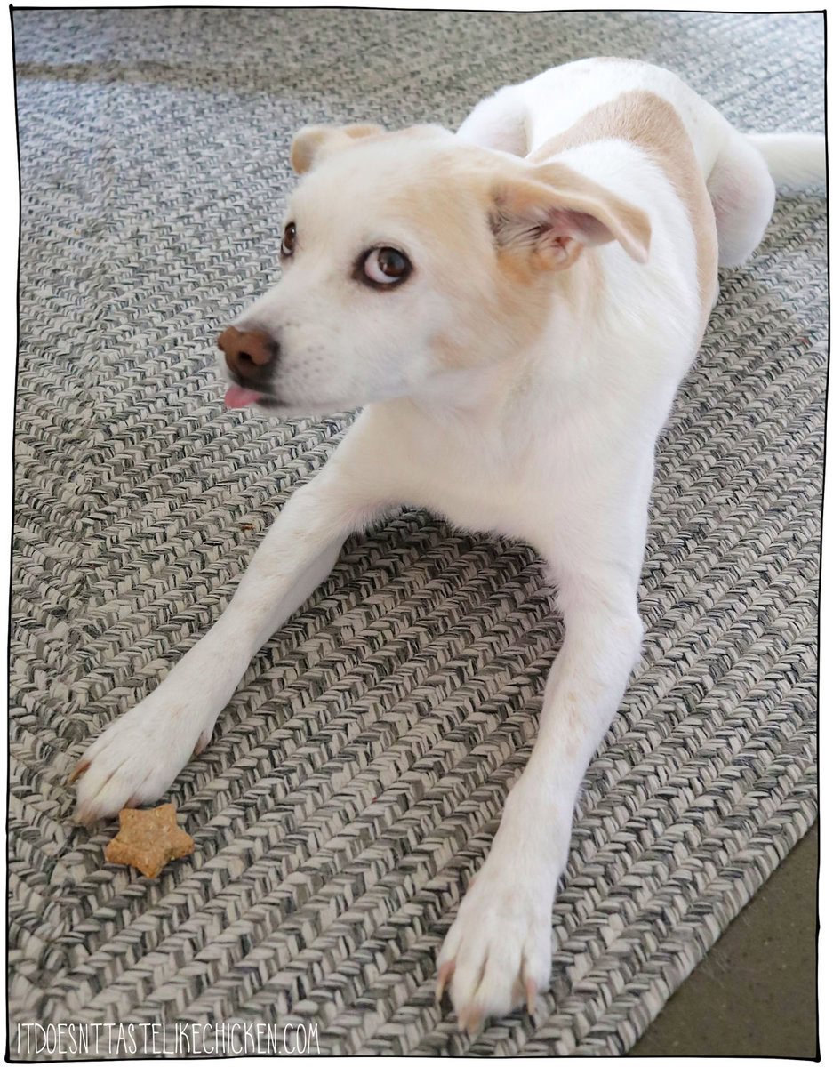 These homemade Apple Pie Dog Treats are easy to make, with just 5 simple ingredients. They are SO much cheaper than store-bought treats, and are full of good-for-your-dog ingredients. Dogs love them! And, bonus points: when you bake these treats it makes your whole house smell like a fresh apple pie! 🍎 🥧