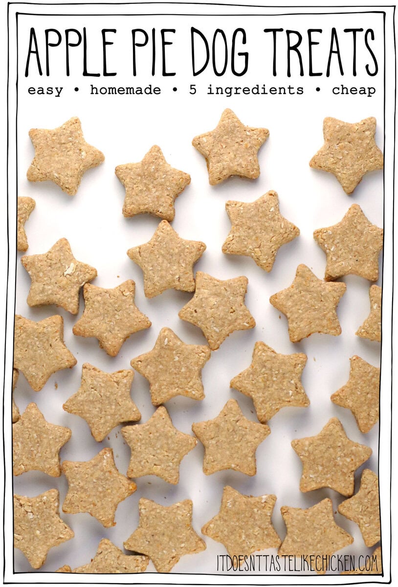 These homemade Apple Pie Dog Treats are easy to make, with just 5 simple ingredients. They are SO much cheaper than store-bought treats, and are full of good-for-your-dog ingredients. Dogs love them! And, bonus points: when you bake these treats it makes your whole house smell like a fresh apple pie! 🍎 🥧