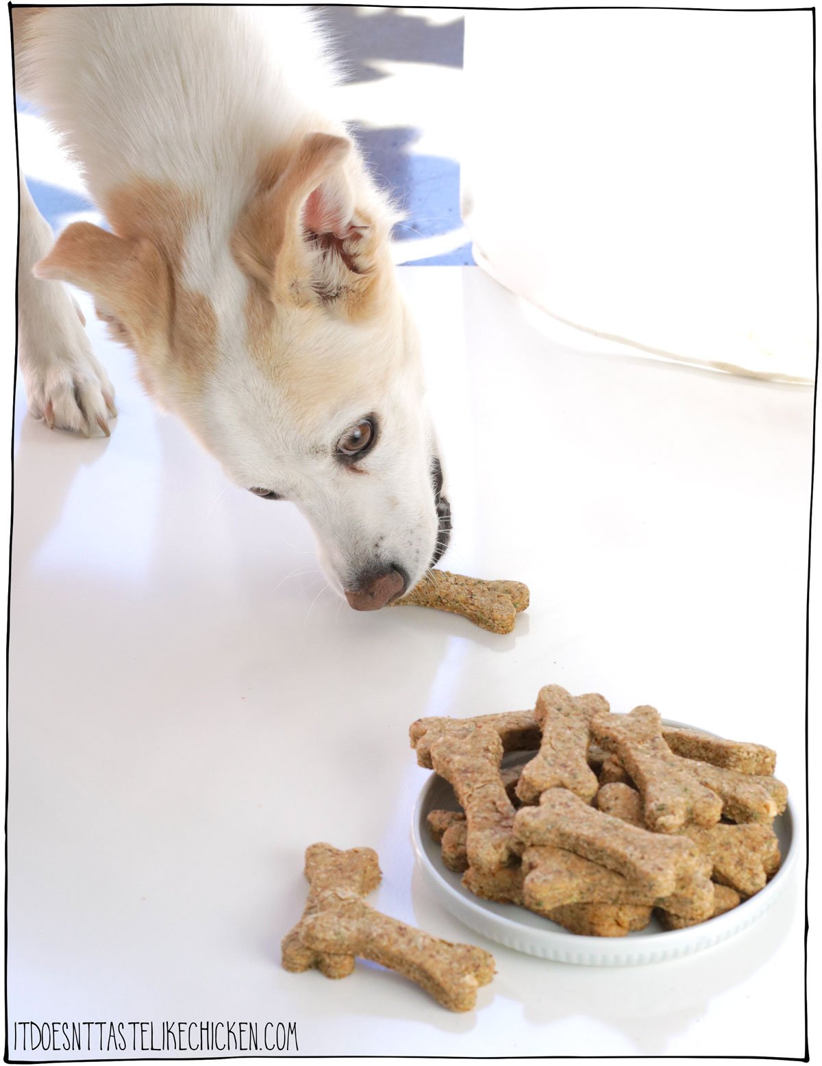 These healthy dog treats are easy to make and full of ingredients that are good for your dog. These treats help freshen breath, improve skin and coat health, and are packed with fiber, and nutrients your dog needs.  Best yet, dogs love them!! #itdoesnttastelikechicken #dogrecipe #dogtreats #dog
