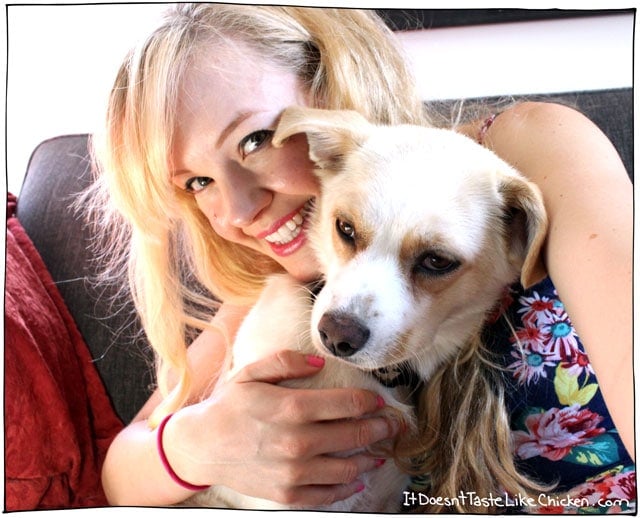 Introducing Chickpea, my new rescue dog!
